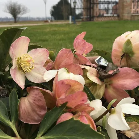 Il Frattiero Bed & Breakfast