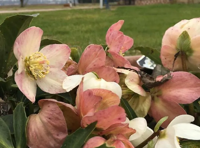 Il Frattiero 住宿加早餐酒店