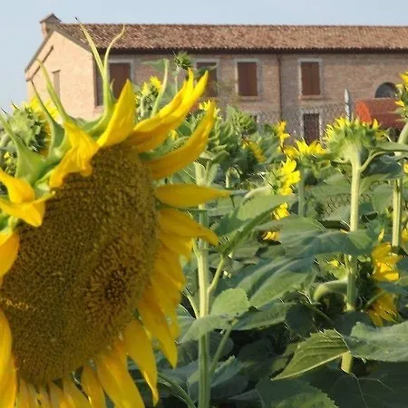 Il Frattiero 4*