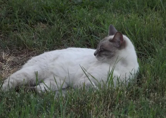 Il Frattiero B&B Voghenza