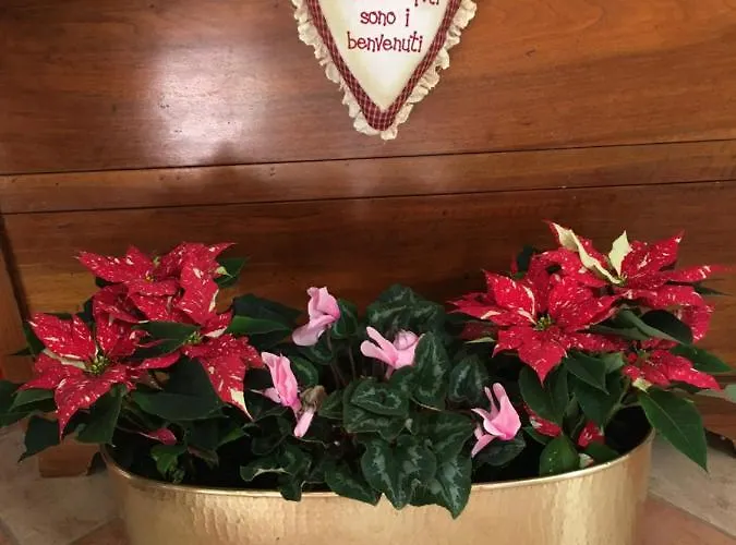 Il Frattiero Voghenza